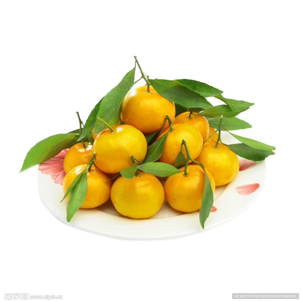 沙糖桔