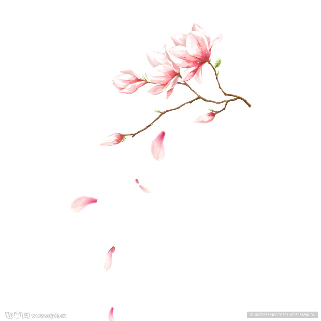 桃花