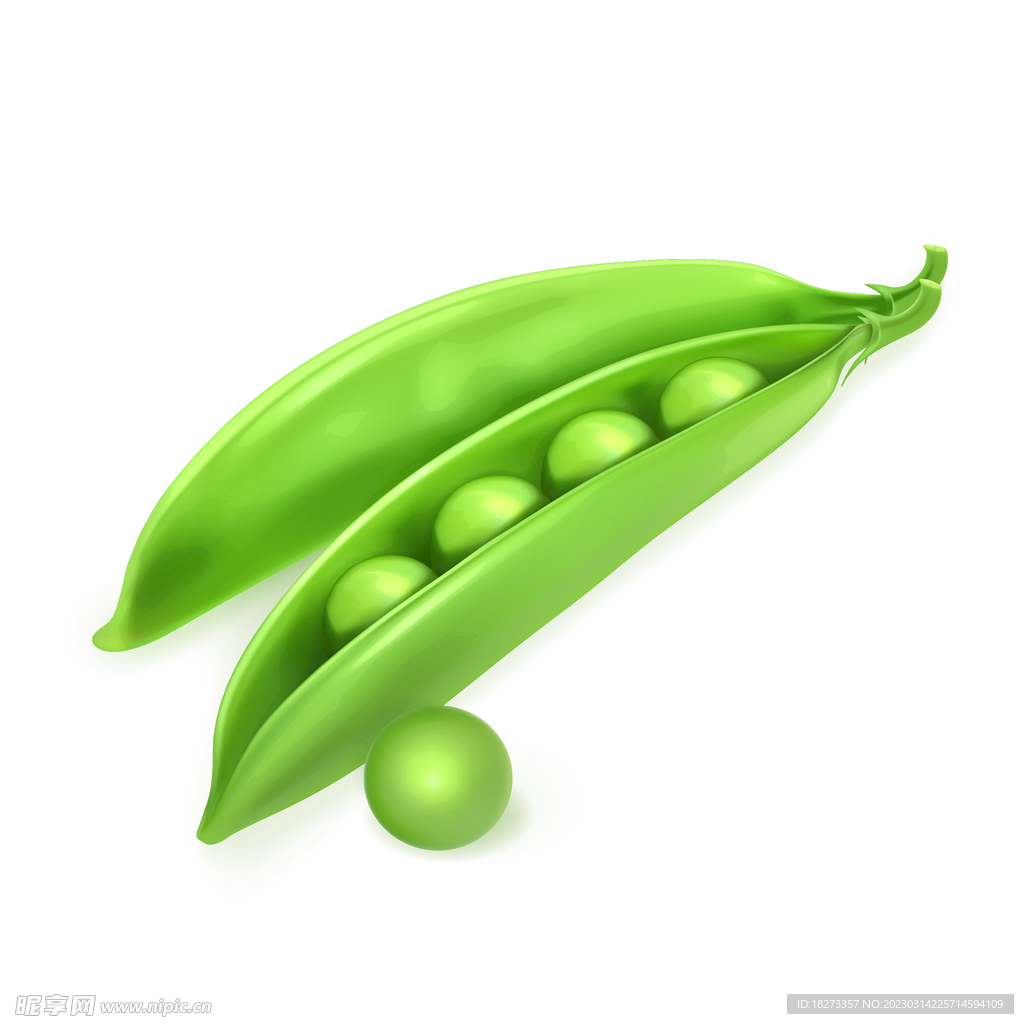 豌豆