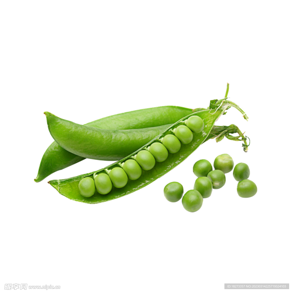豌豆