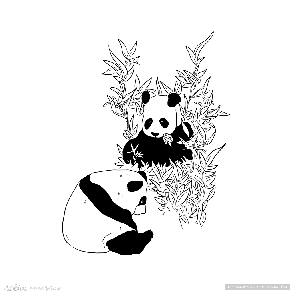 熊猫