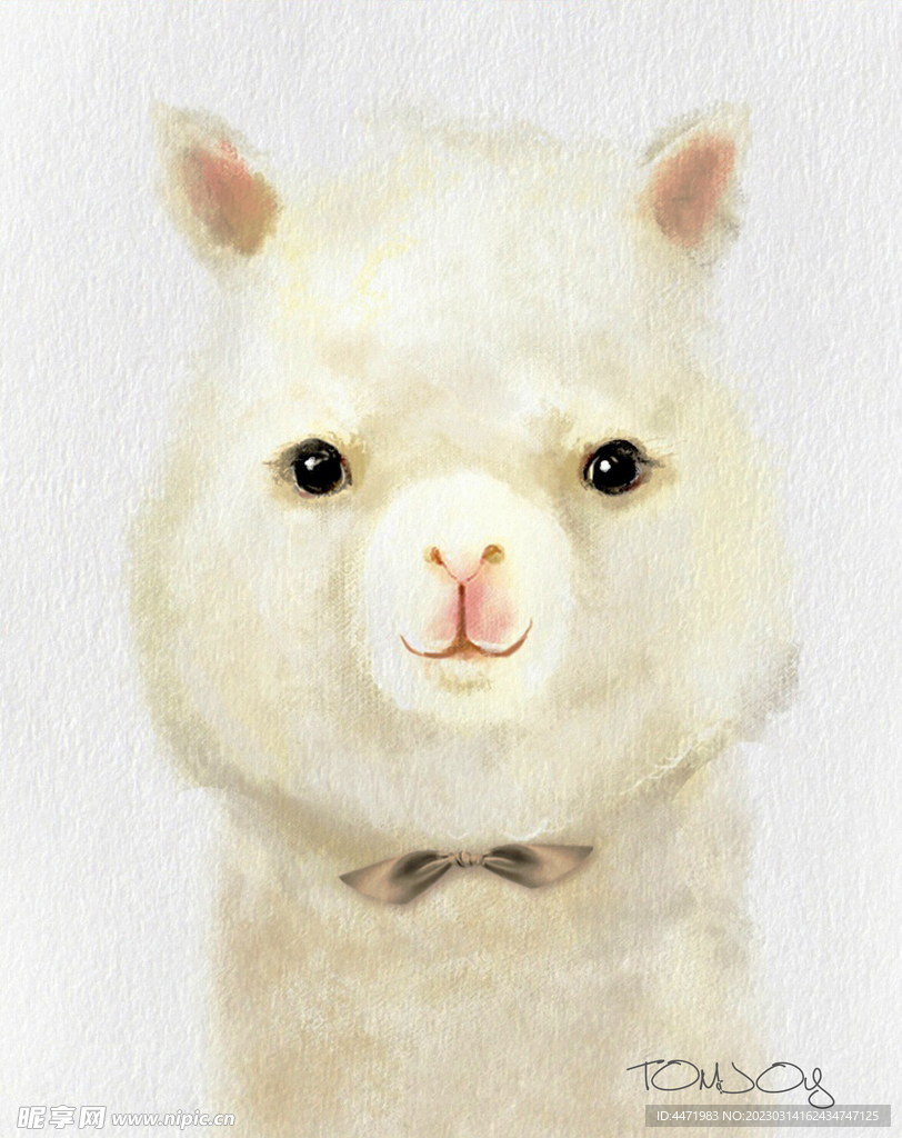 小羊驼装饰画