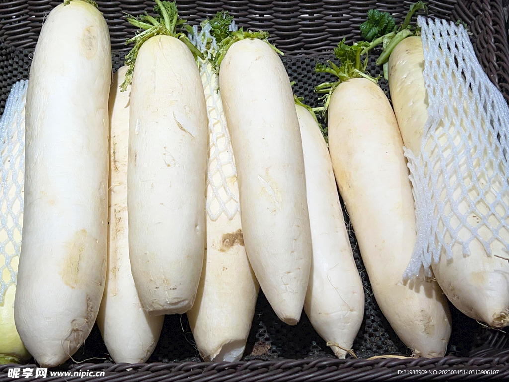 白萝卜