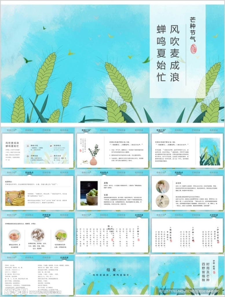 24节气芒种