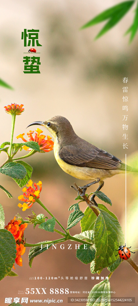 惊蛰