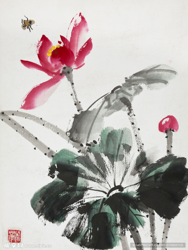 水彩画 荷花与蜜蜂