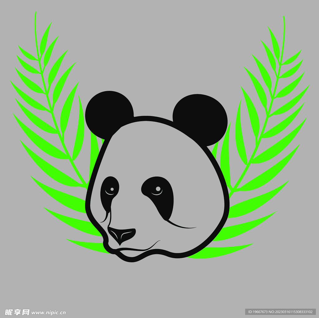 动物  
