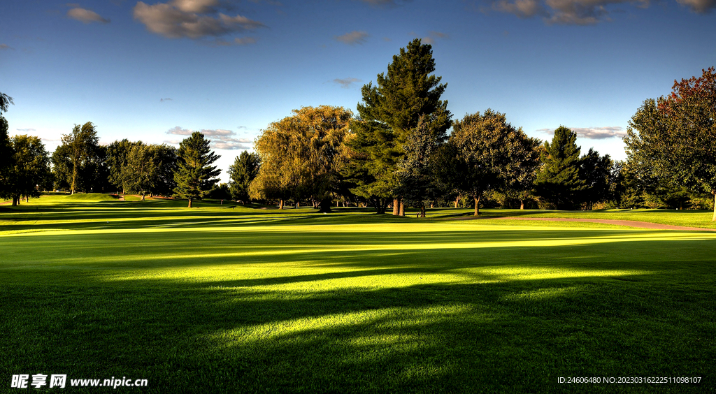 草地 高尔夫