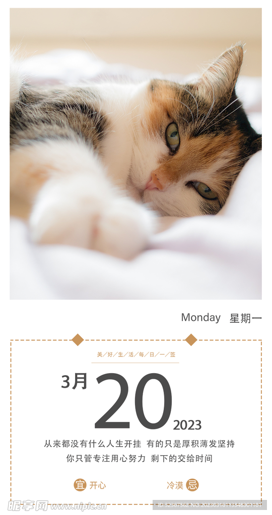 每日一签