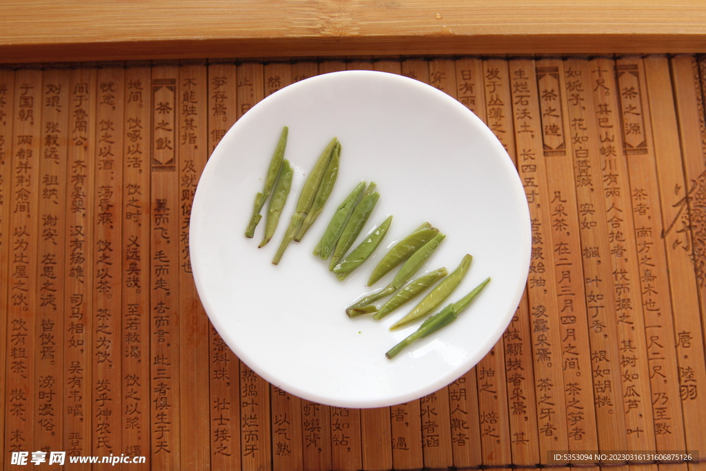 雀舌