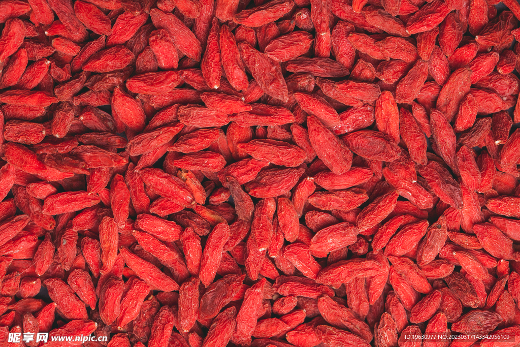 红色干燥的枸杞背景