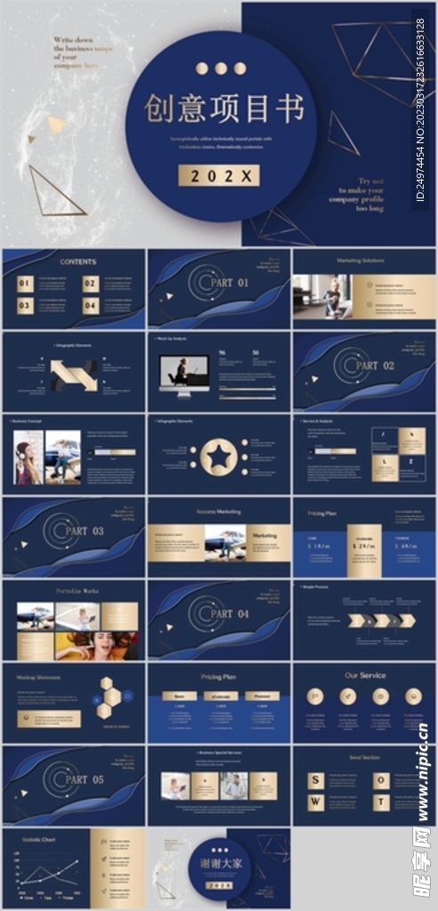 高档蓝白几何元素烫金创意项目书