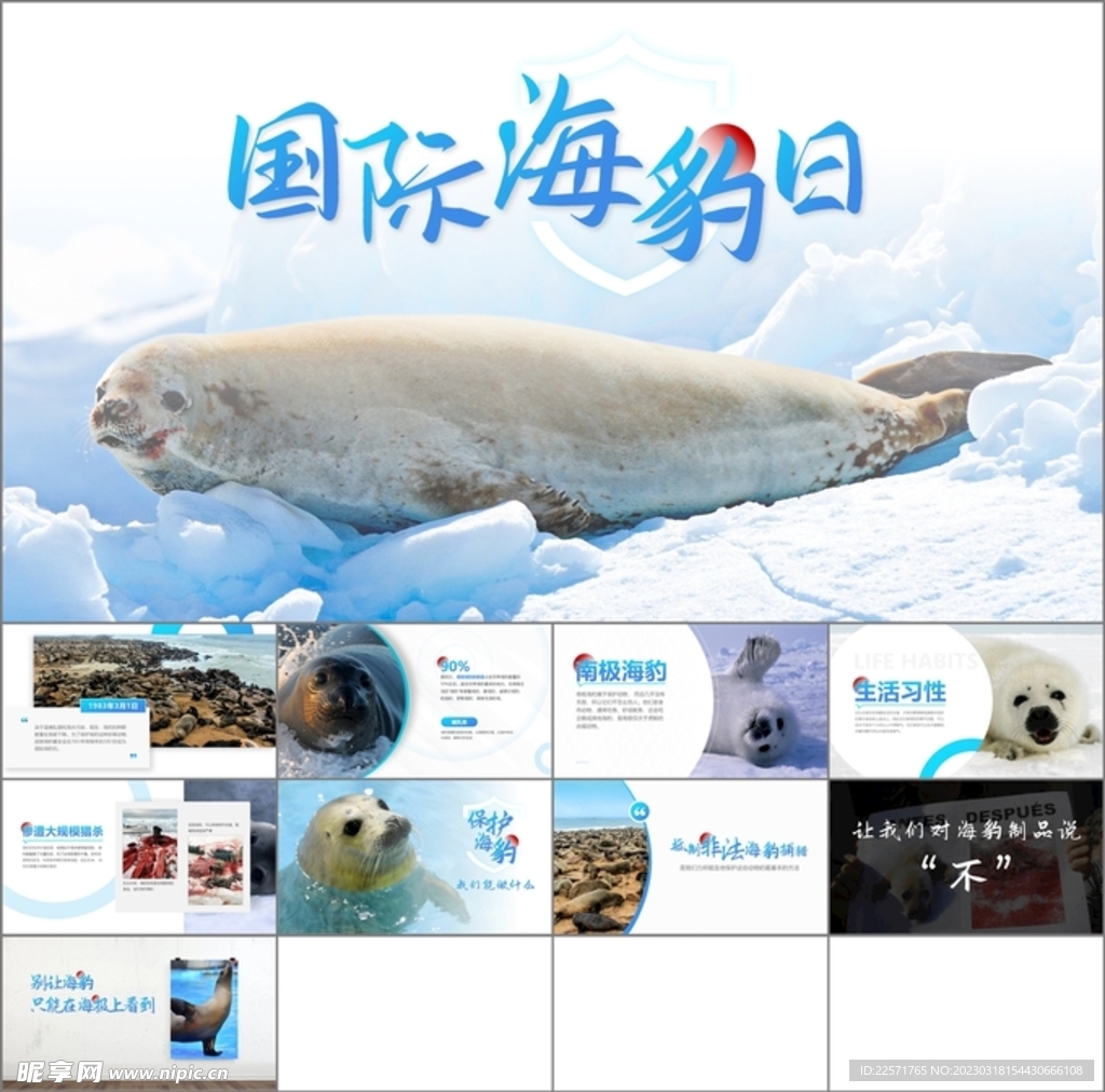 国际海豹日