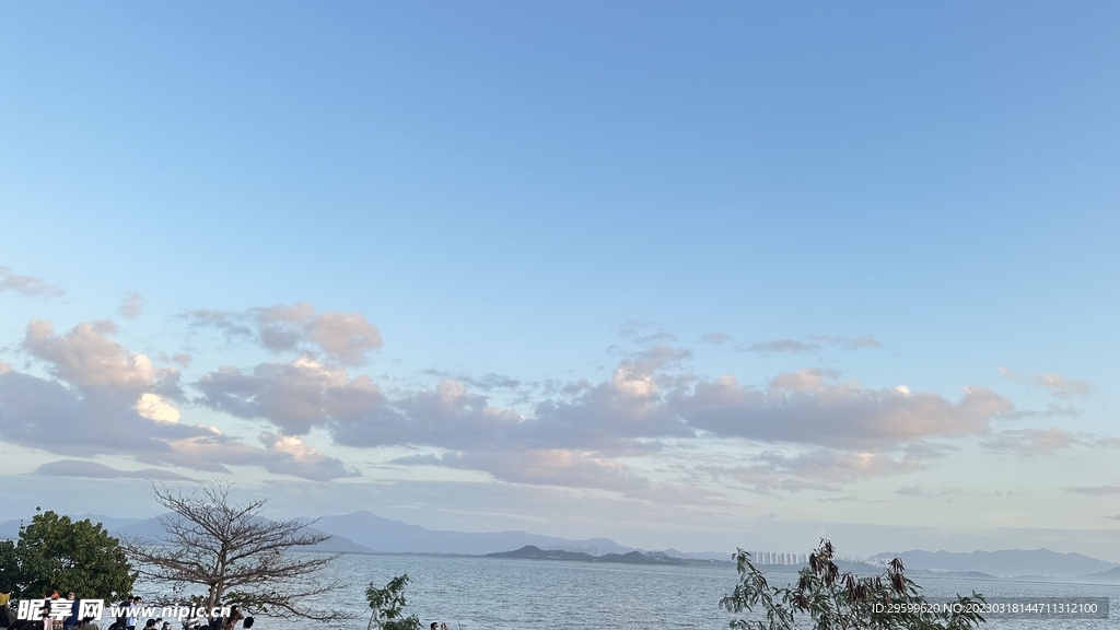 大海