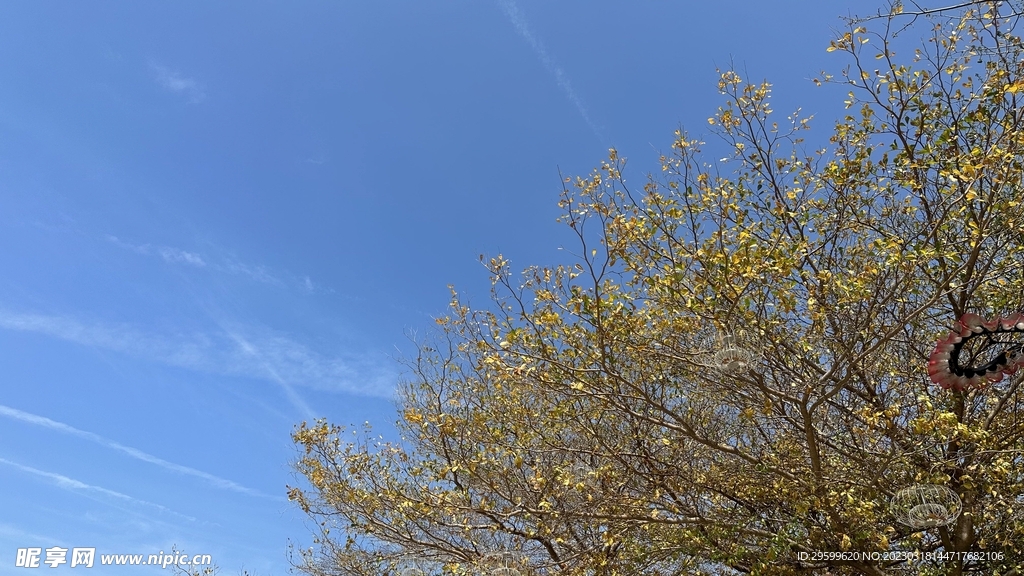 天空