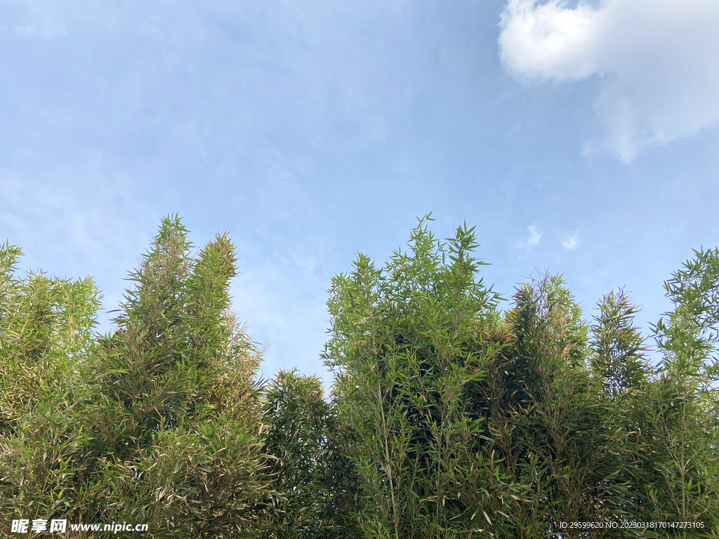 夏日天空
