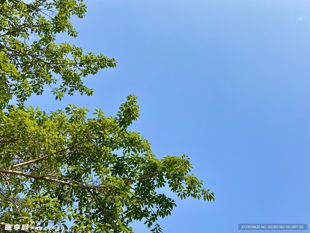 夏日天空