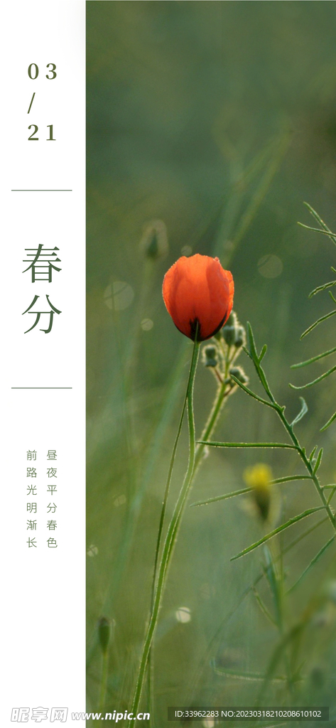 春分