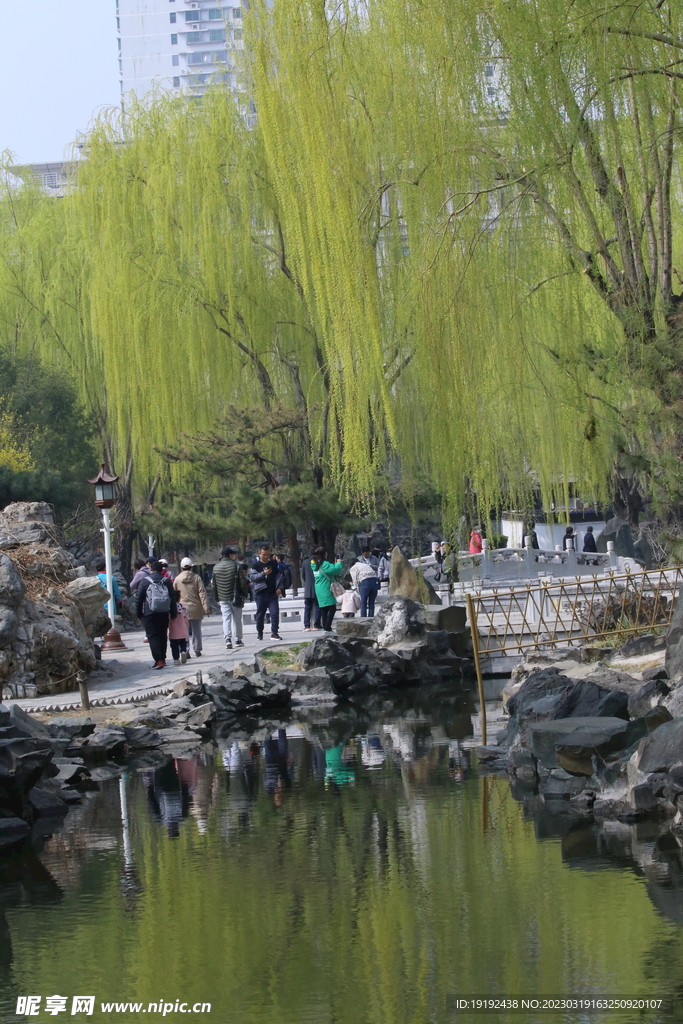 大观园风景 