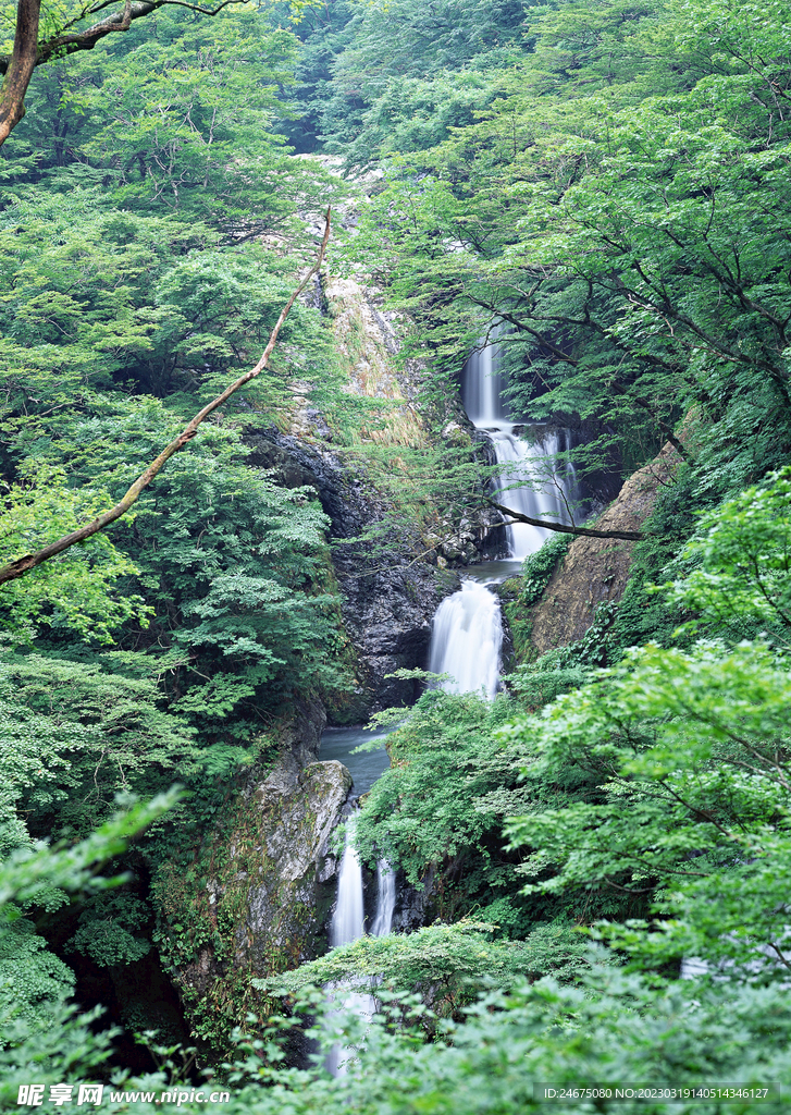 高山流水
