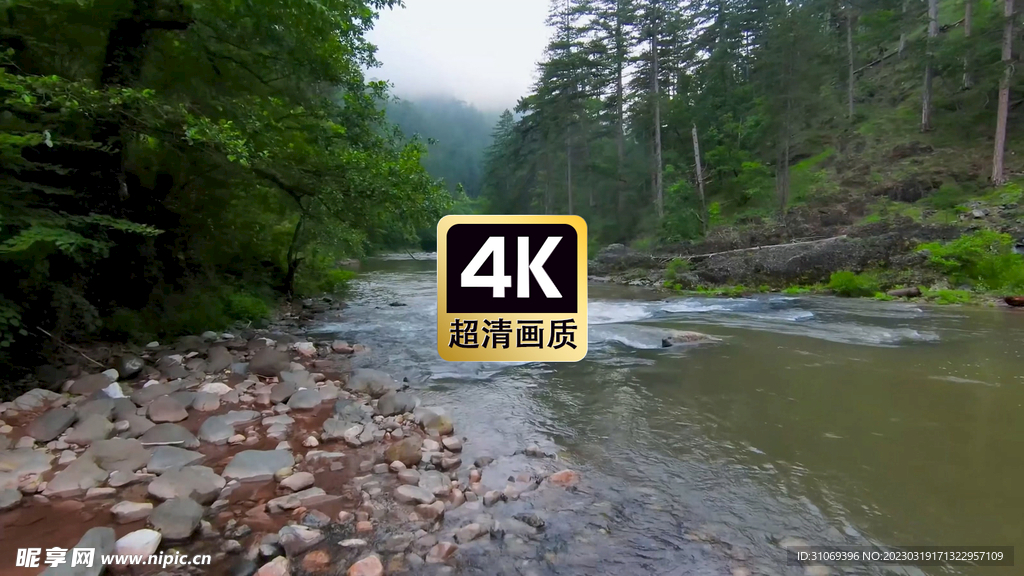 河流两岸丛林美景