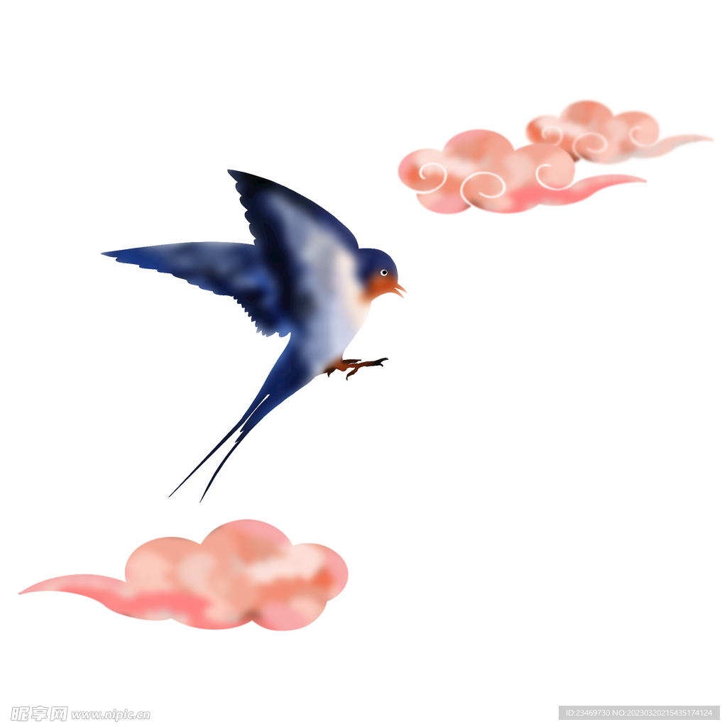 燕子