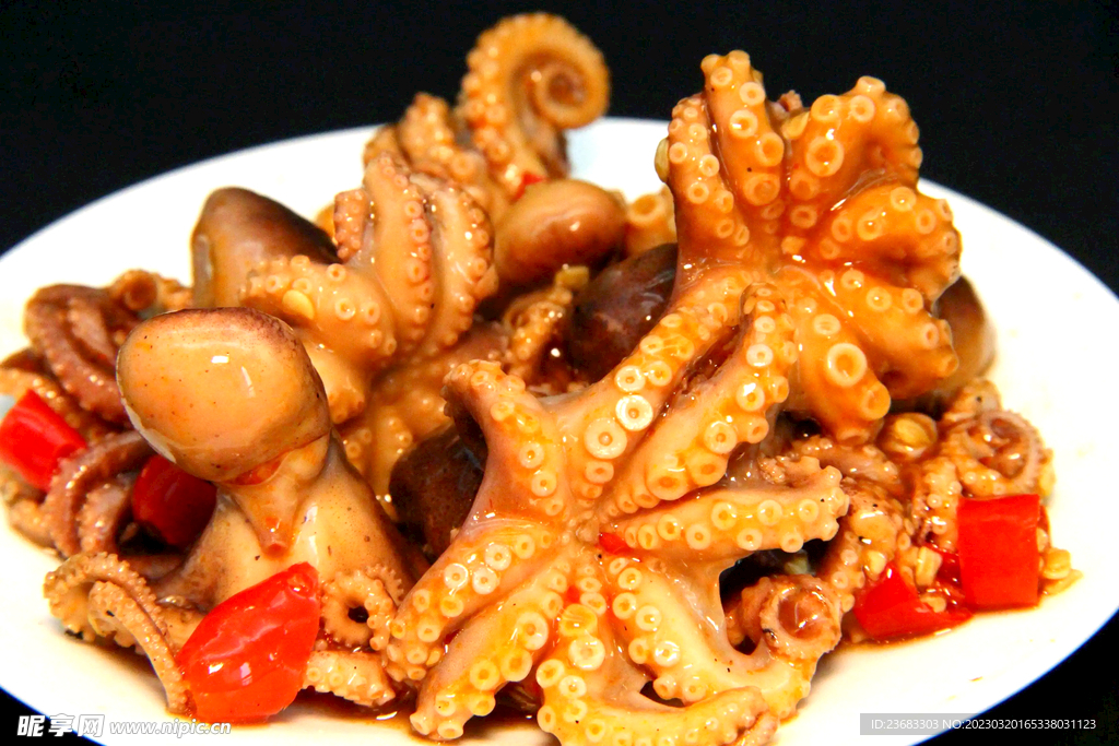 小八爪美食图片