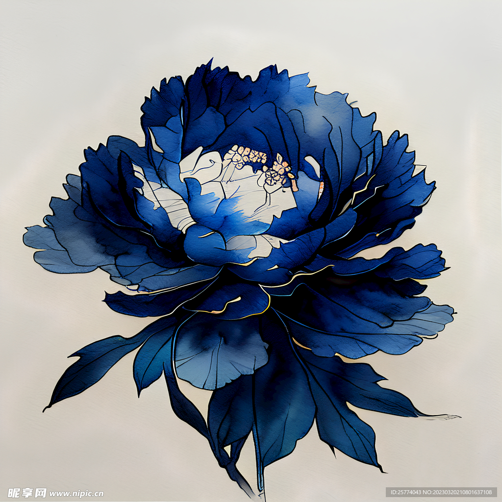 水彩牡丹花