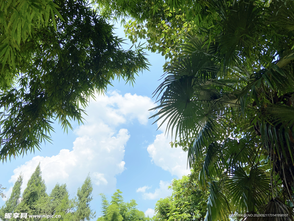 夏日天空