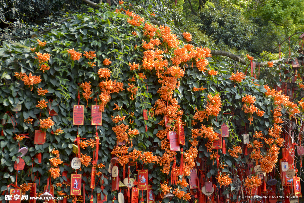 花