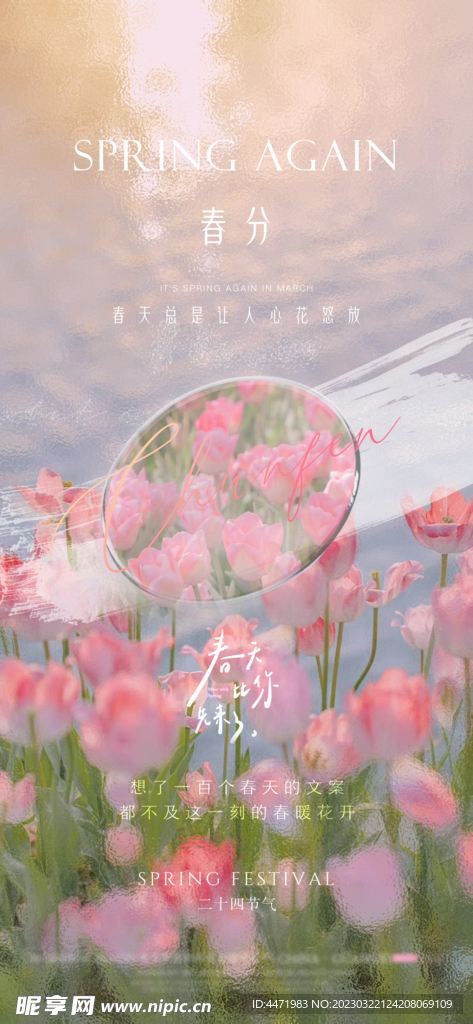 春天花卉海报