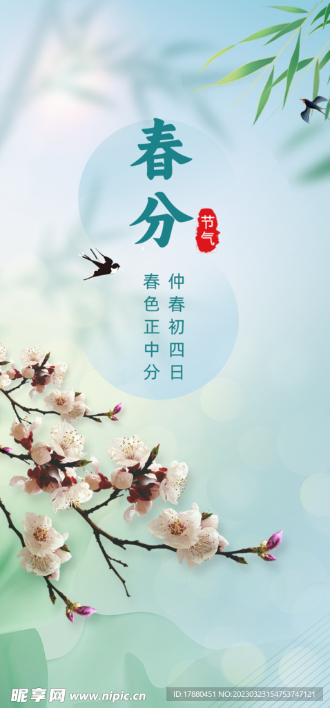 小清新春分节气海报