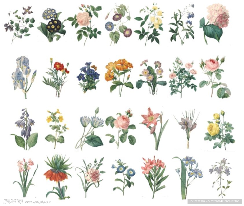  手绘鲜花
