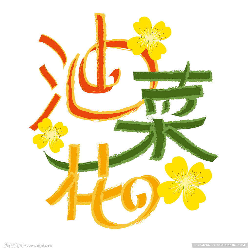 油菜花