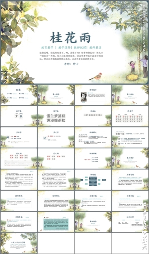桂花雨