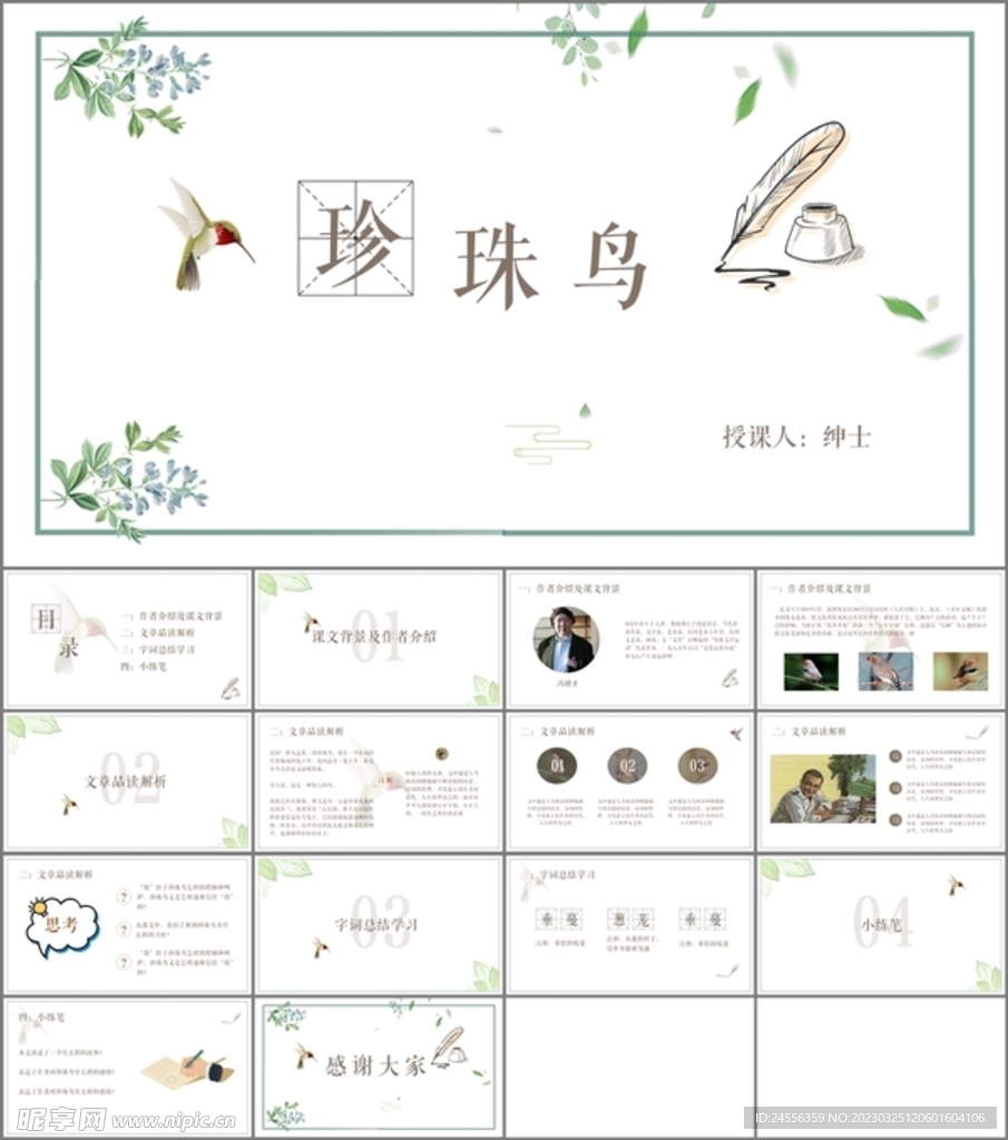 珍珠鸟
