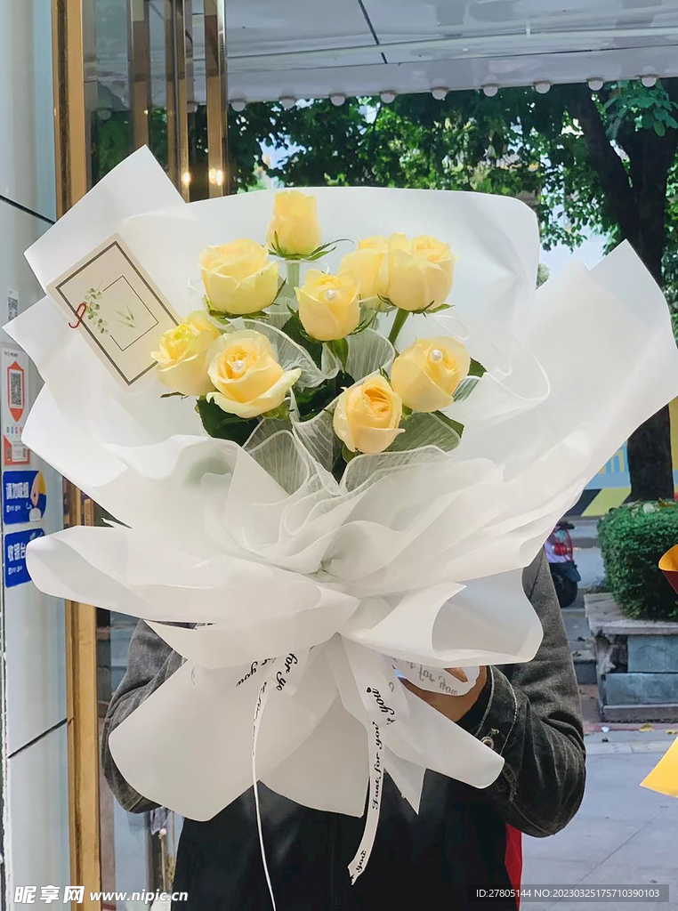香槟黄玫瑰花