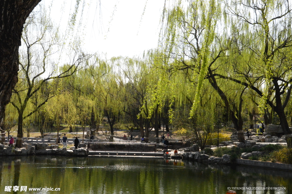  陶然亭风景
