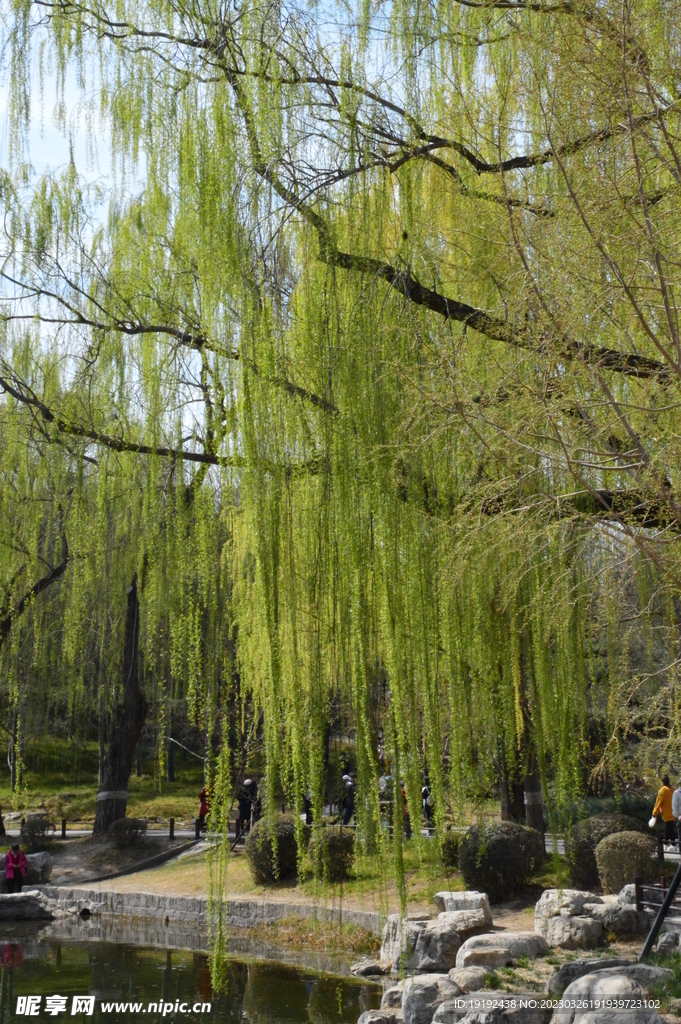 陶然亭风景 