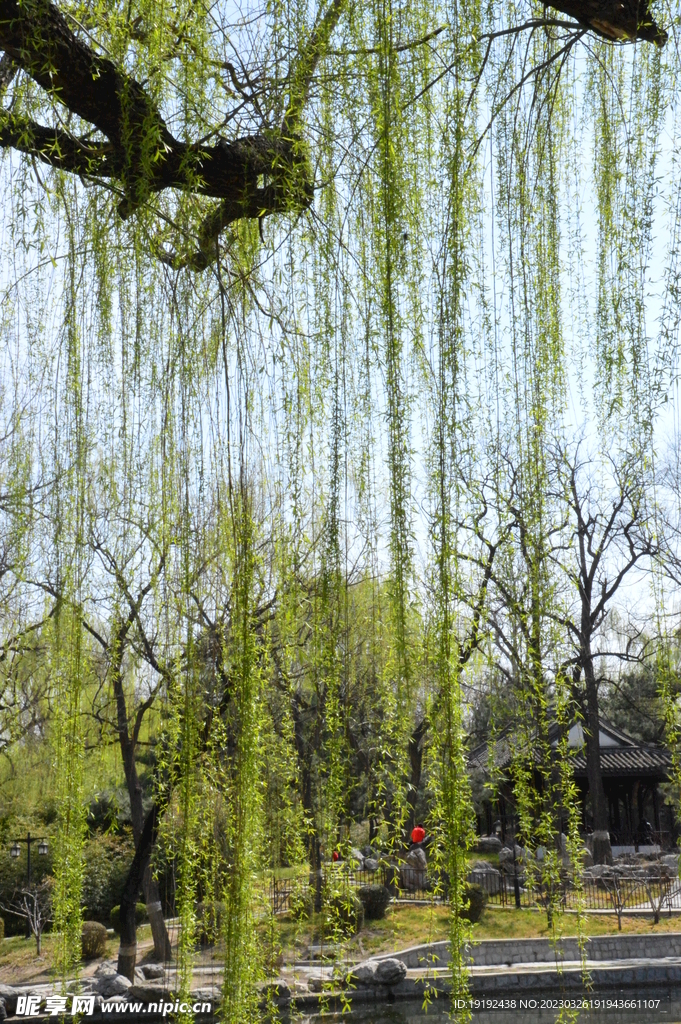 陶然亭风景 