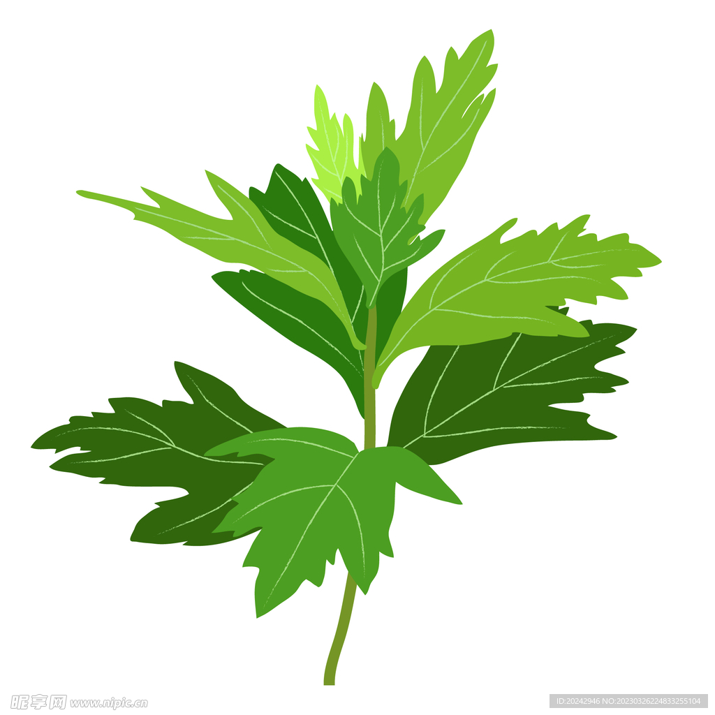 艾草