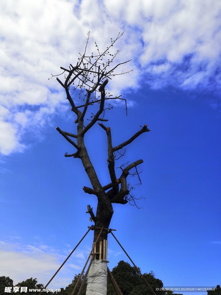 天空