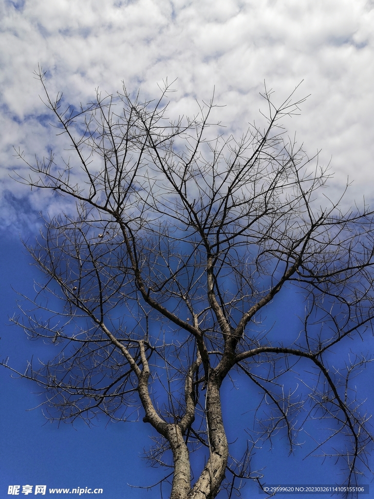 天空