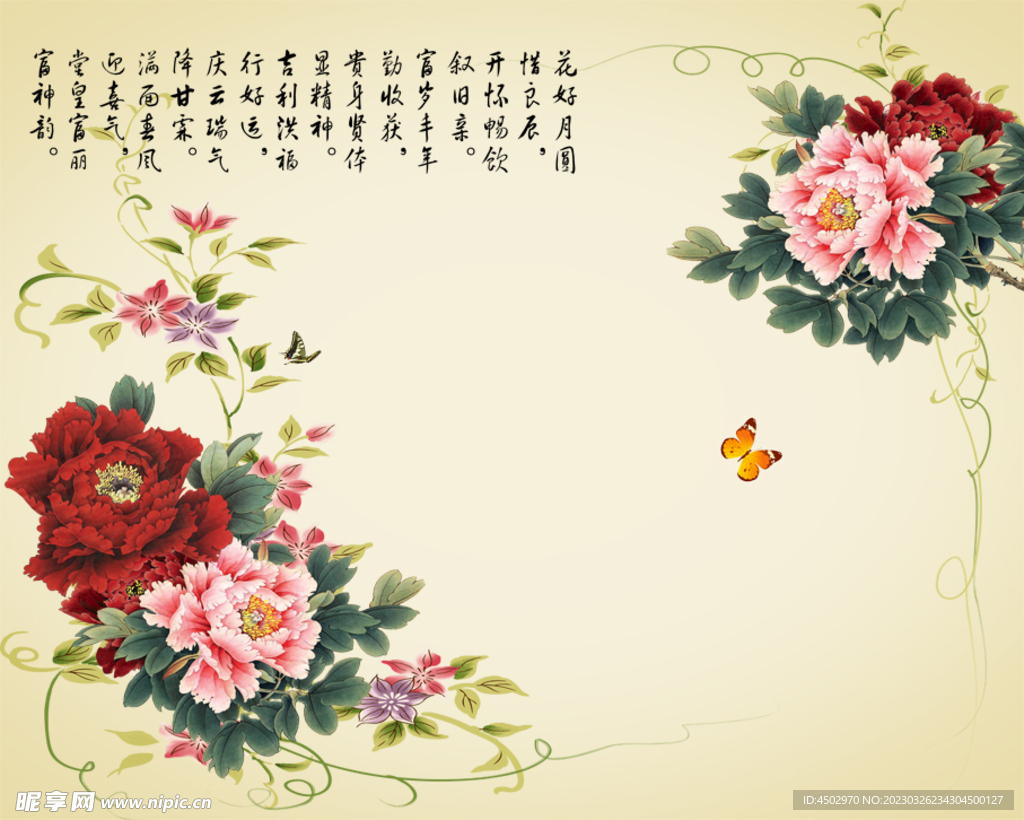 牡丹国画