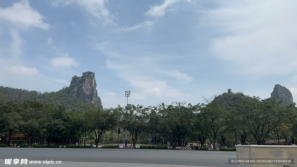 植物美景
