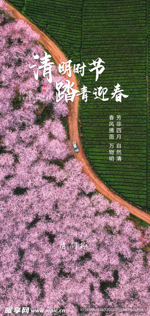 山水意境清明节节气海报