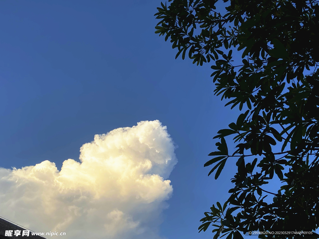 天空