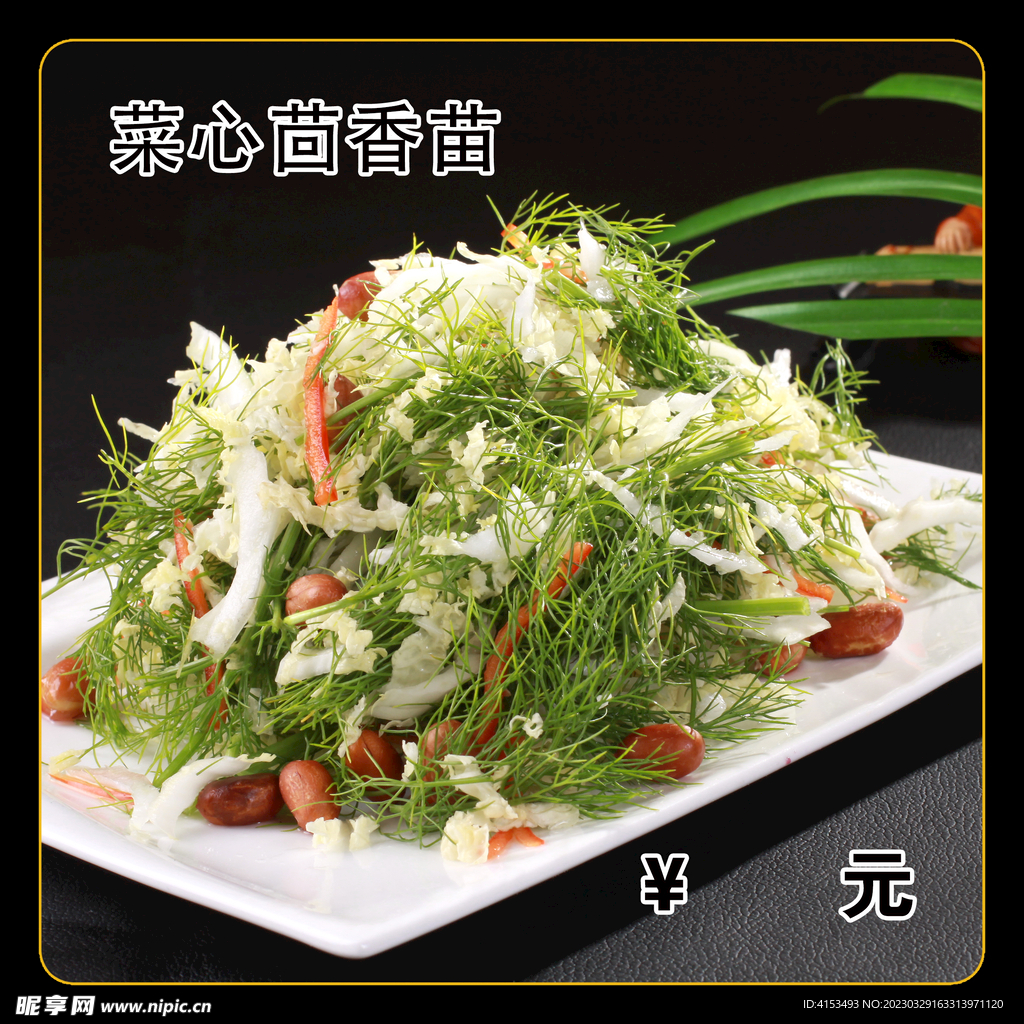 菜心茴香苗