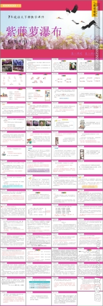 紫藤萝瀑布