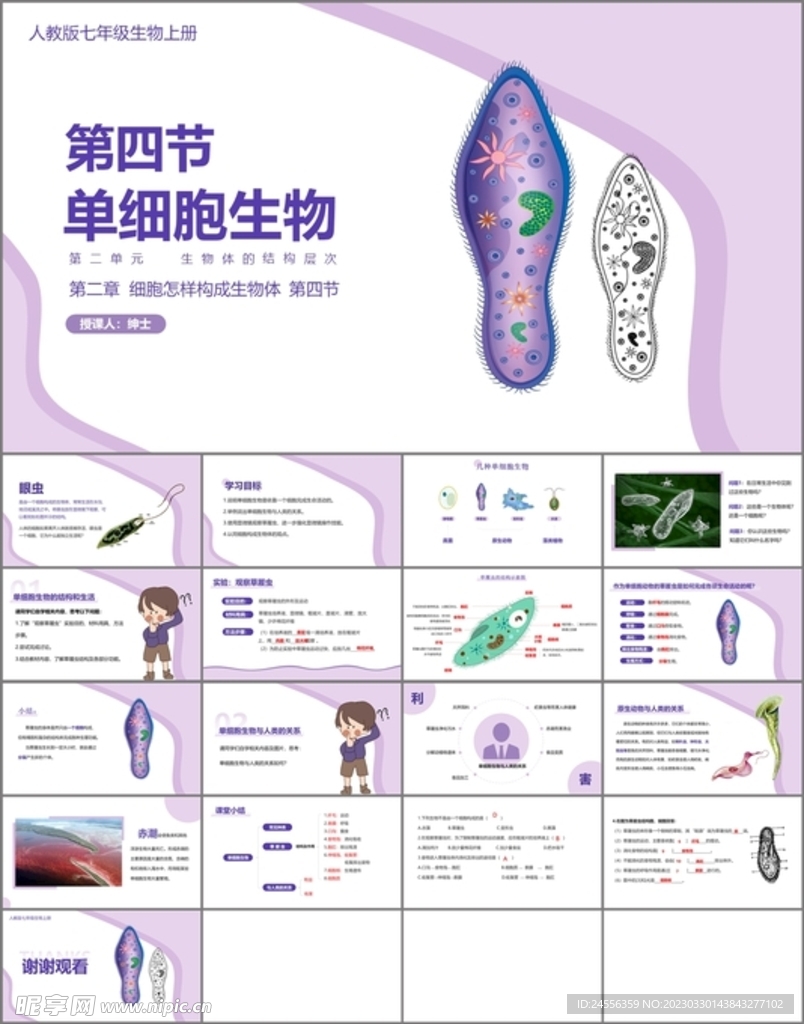 单细胞生物
